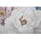 Malowany Obraz na Płótnie SOFT FLOWER 100X3,7X80 cm